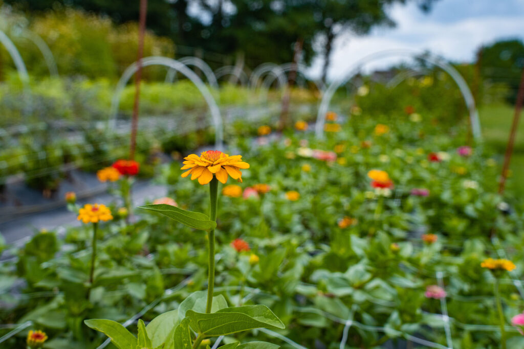 DSC00110